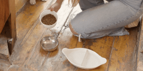Pet Foods